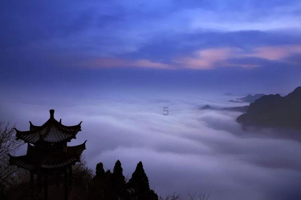 王傲世的梦