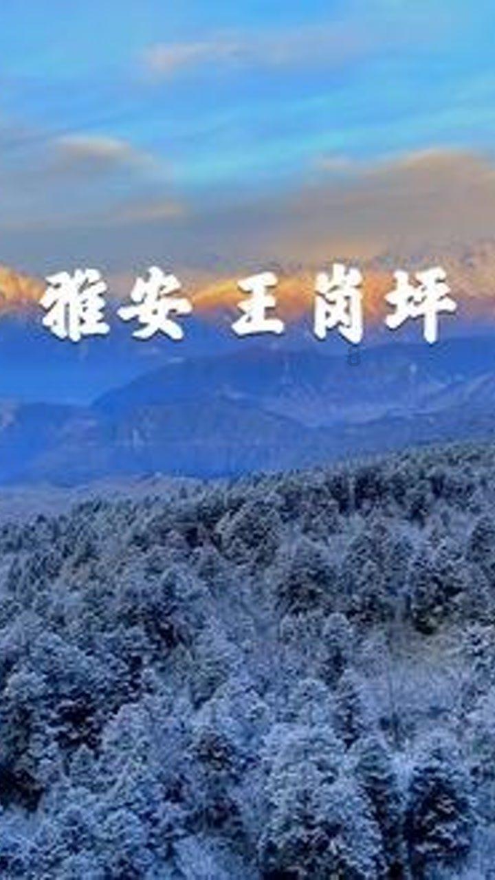 最美的校园女生65