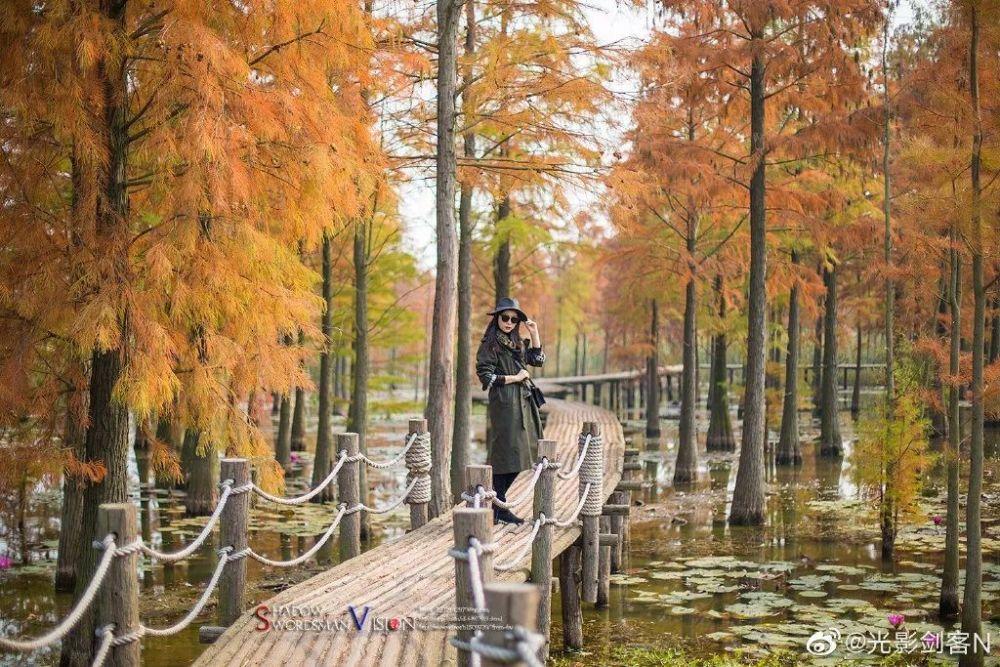 上海解放前20天牺牲,一个月后,妻子靠补丁裤子找到丈夫的遗体