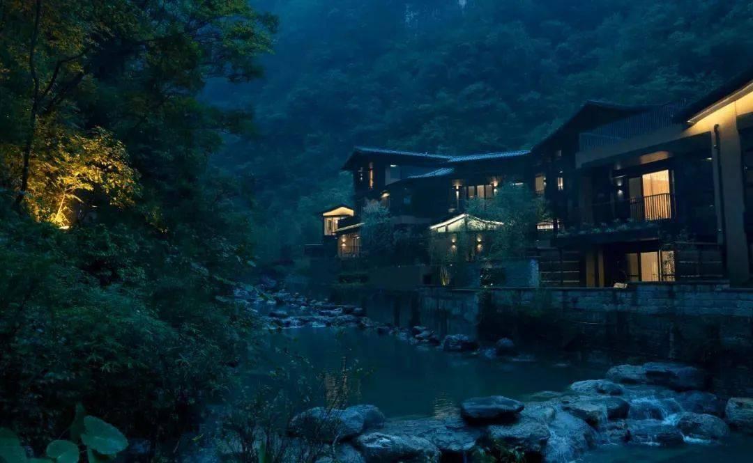 虎胆熊威3