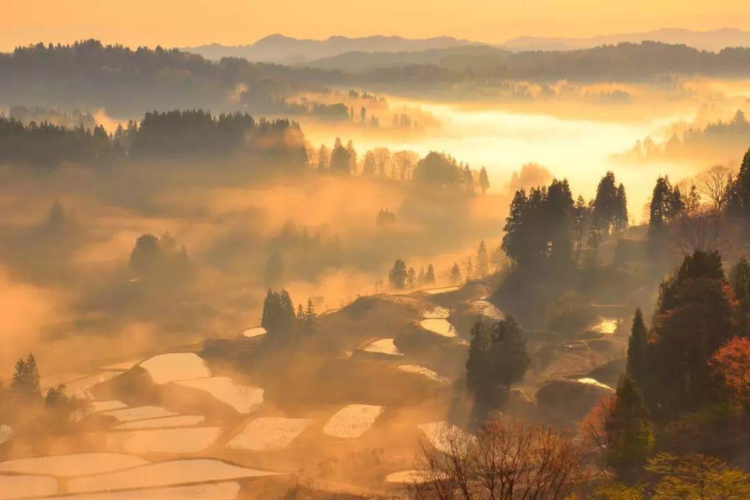 探索仙国志哪里签到社区|仙国志哪里签到红迪网平台
