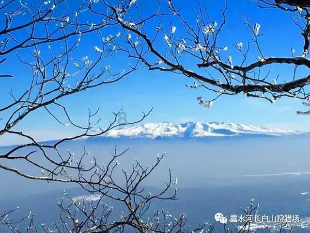 强信心 促发展|贵州贵材将启动一强链补链延链项目建设