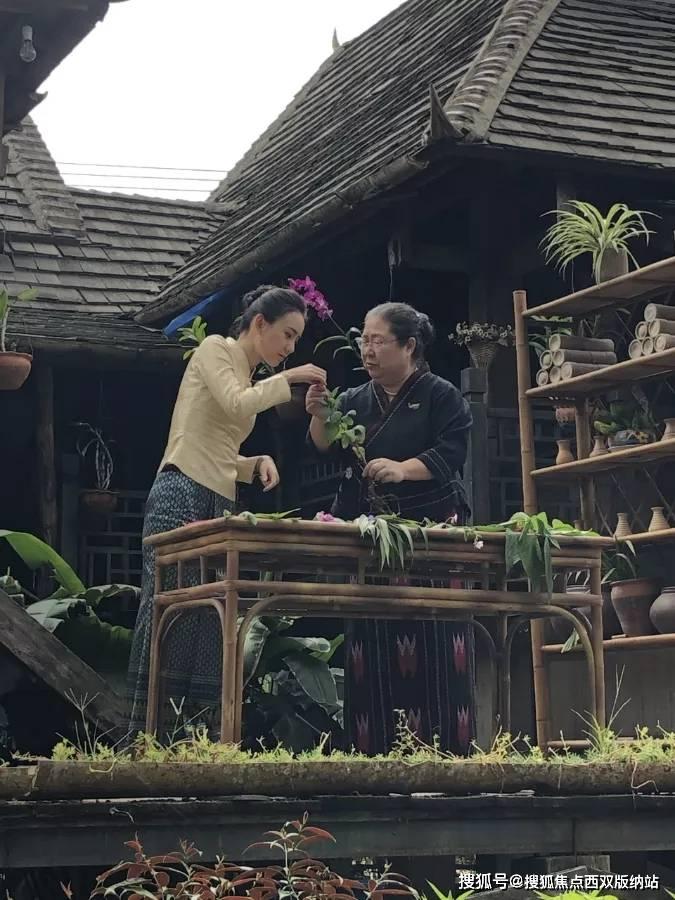 全民烧脑3去广告版