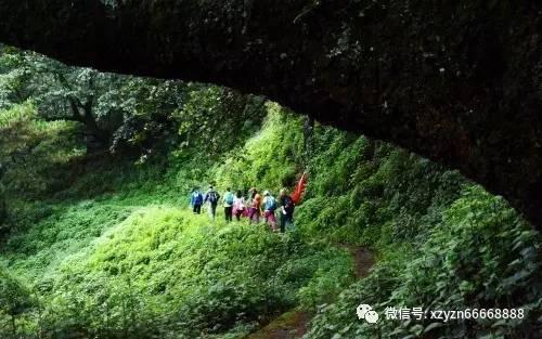 生化危机6