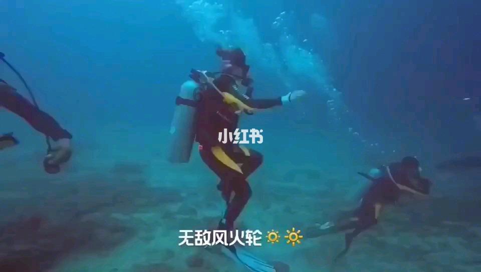 小艾比当营养师