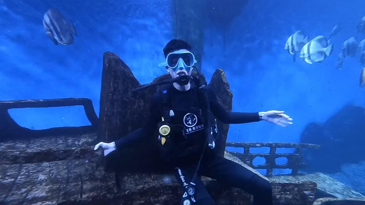 老鹰逃生