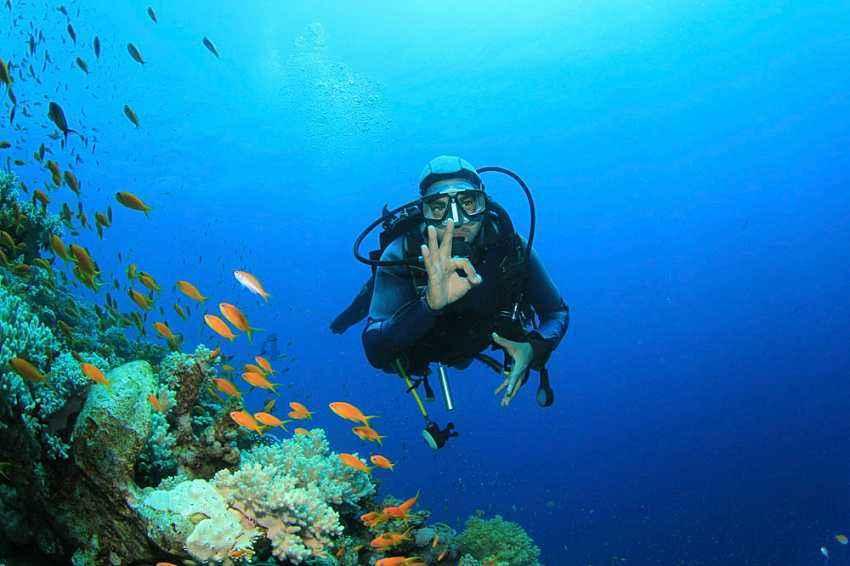 海滩度假胜地逃脱