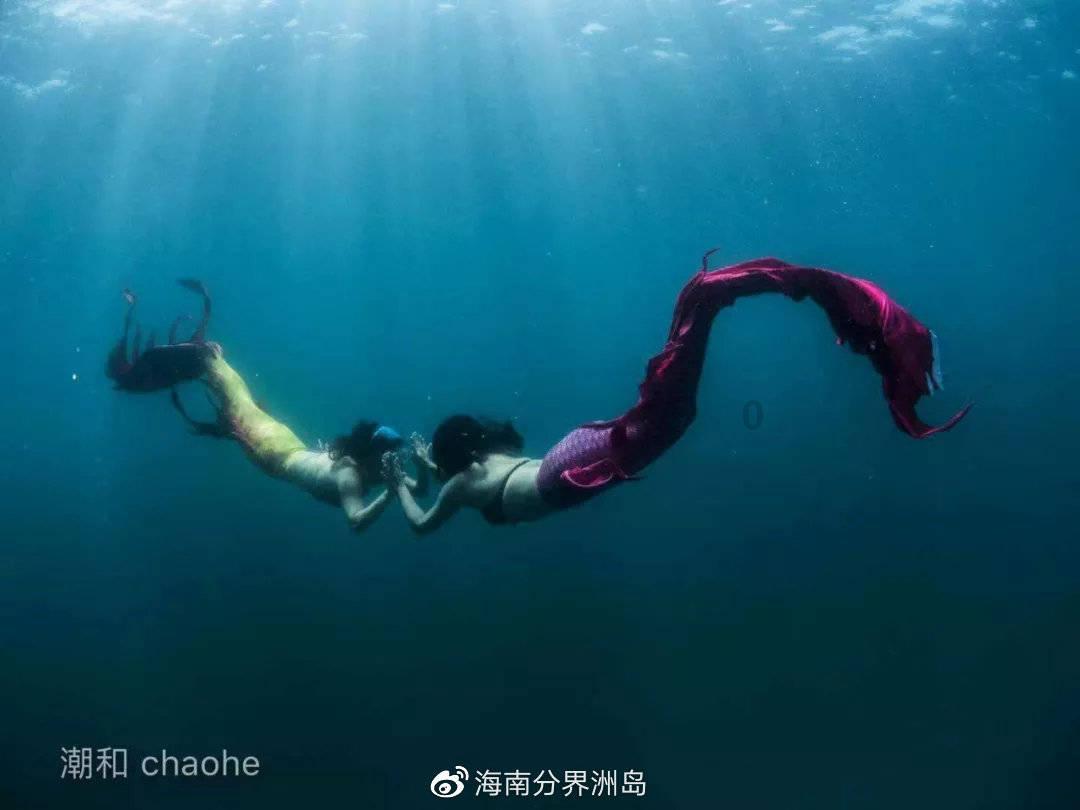 救援呆萌的猫