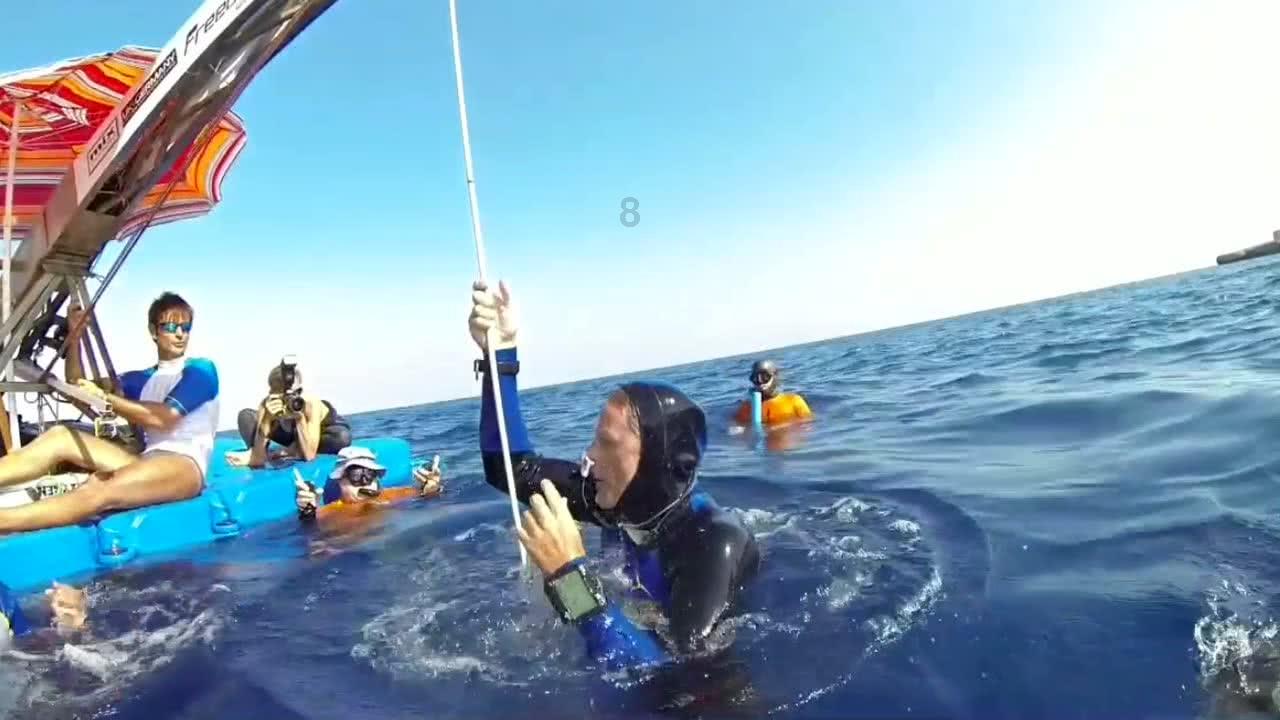 组装机械章鱼龙
