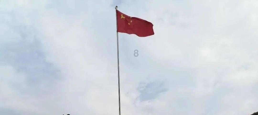 植物大战僵尸17
