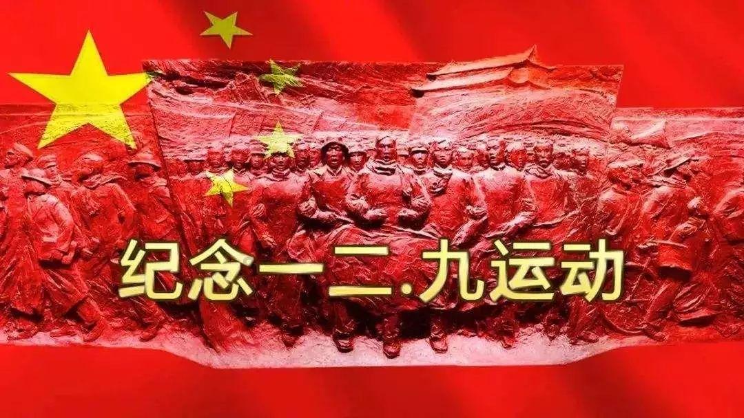 主人带4只金毛买菜,每个嘴里叼个篮子,主人出够了风头!