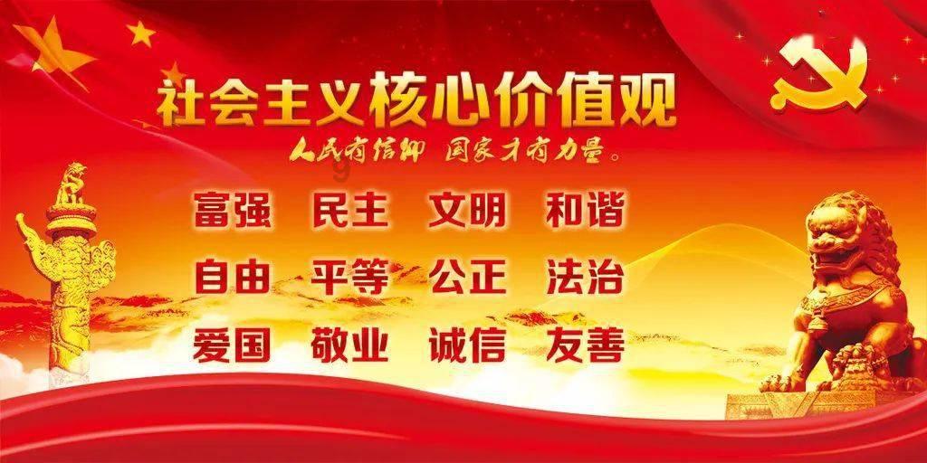 突发性脱发｜从斑秃到发量王者的自救之路