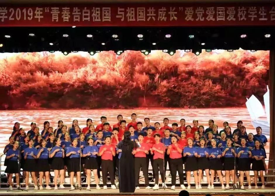 萌宠好又多