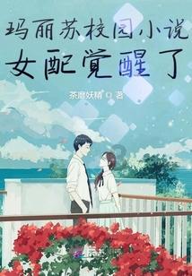 探探猫宝石岛3