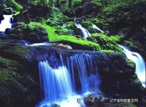 春雨直播app