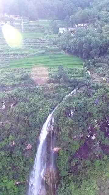 逃离冰淇淋岛屿