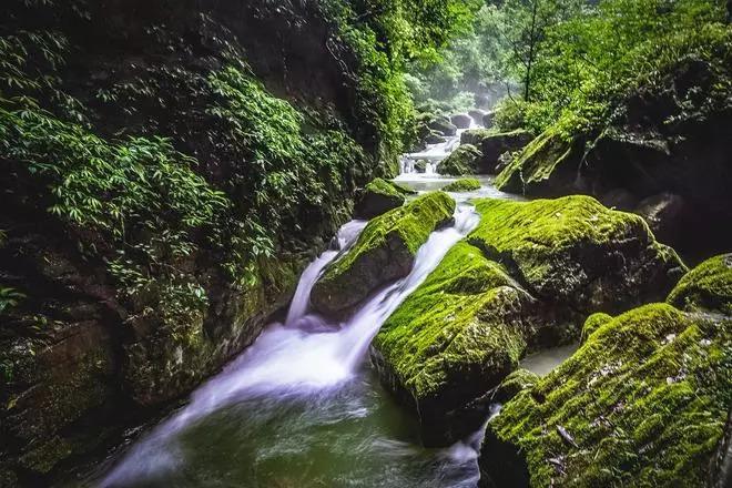你拿诗和远方和苟且斗，你永远斗不赢的