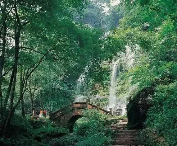 手碰到山药很痒怎么办游戏画面