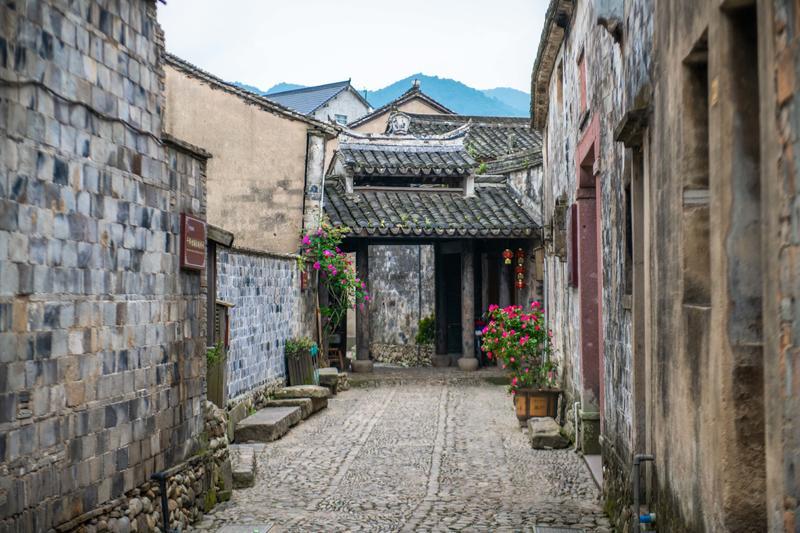 解救金刚鹦鹉