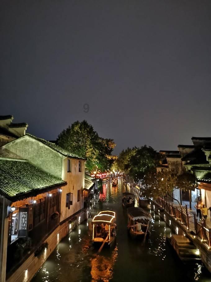 救援鹦鹉