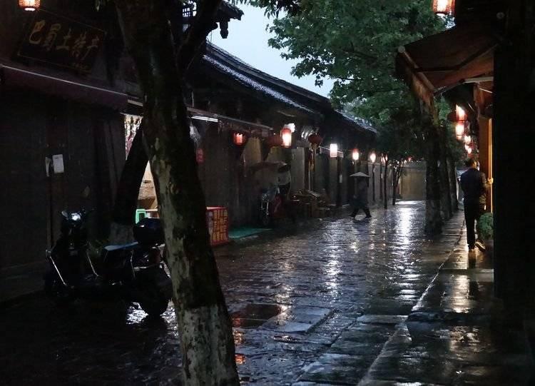 发财树树干腐烂怎么补救？