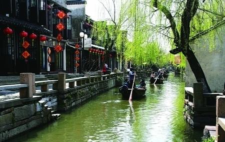 网游之大神莫挡路