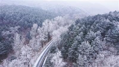 竞技游戏